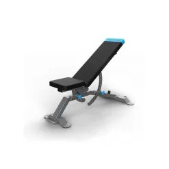 Banco ProForm Carbon Strength Adjustable Bench