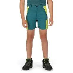 Regatta Pantalones Cortos Sorcer II Diseño Montaña Para Niños/Niñas Verde Pacífico, Kiwi -tienda de equipos de fitness pantalones cortos sorcer ii diseo montaa para niosnias verde pacifico kiwi 3